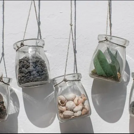 Chinija Casa de Férias *